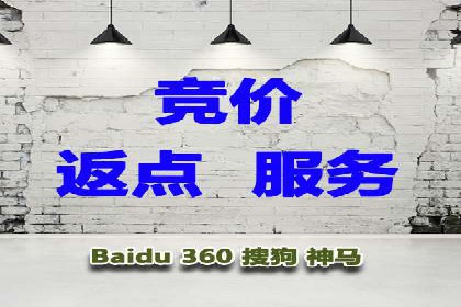 某行业领军企业的SEM广告投放策略